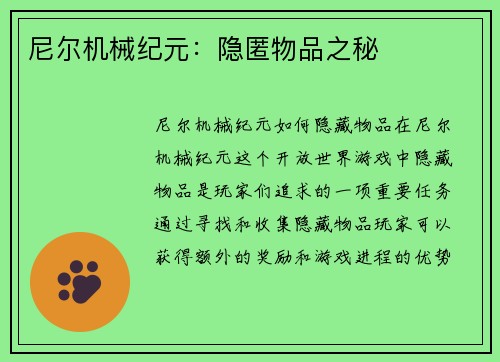 尼尔机械纪元：隐匿物品之秘